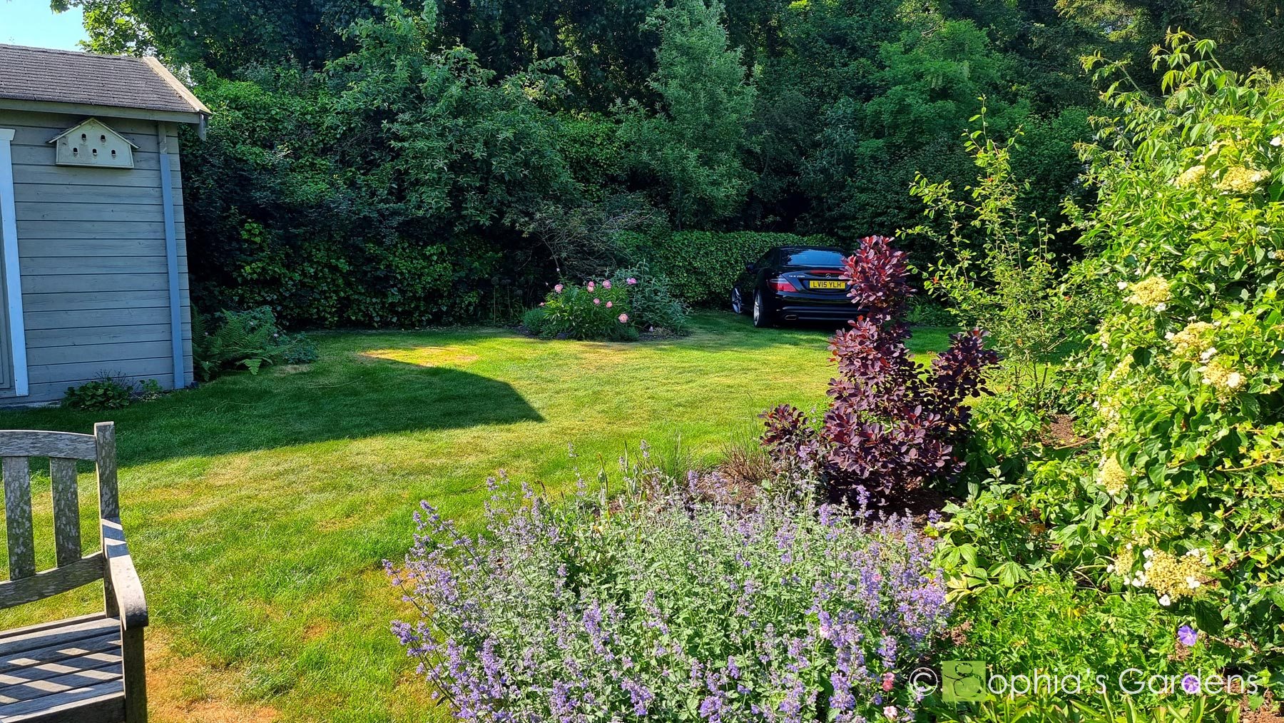 A garden where a car is parked unobtrusively, surrounded by ornamental planting