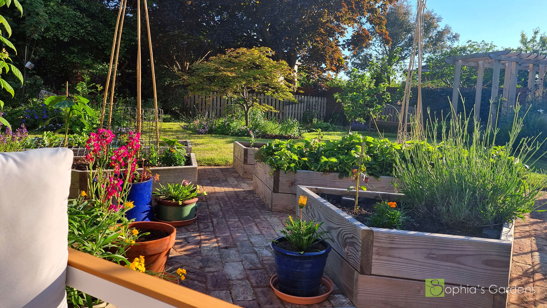 A sunken kitchen-garden patio, with veg beds, is sunny and cosy, with a view of a Japanese Acer and wildlife planting flowerbeds. Garden transformation in North Shields, by Sophia's Gardens